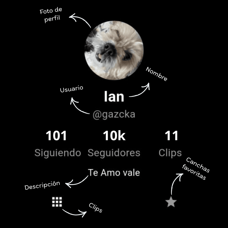 Tecnología IoT en Cancha